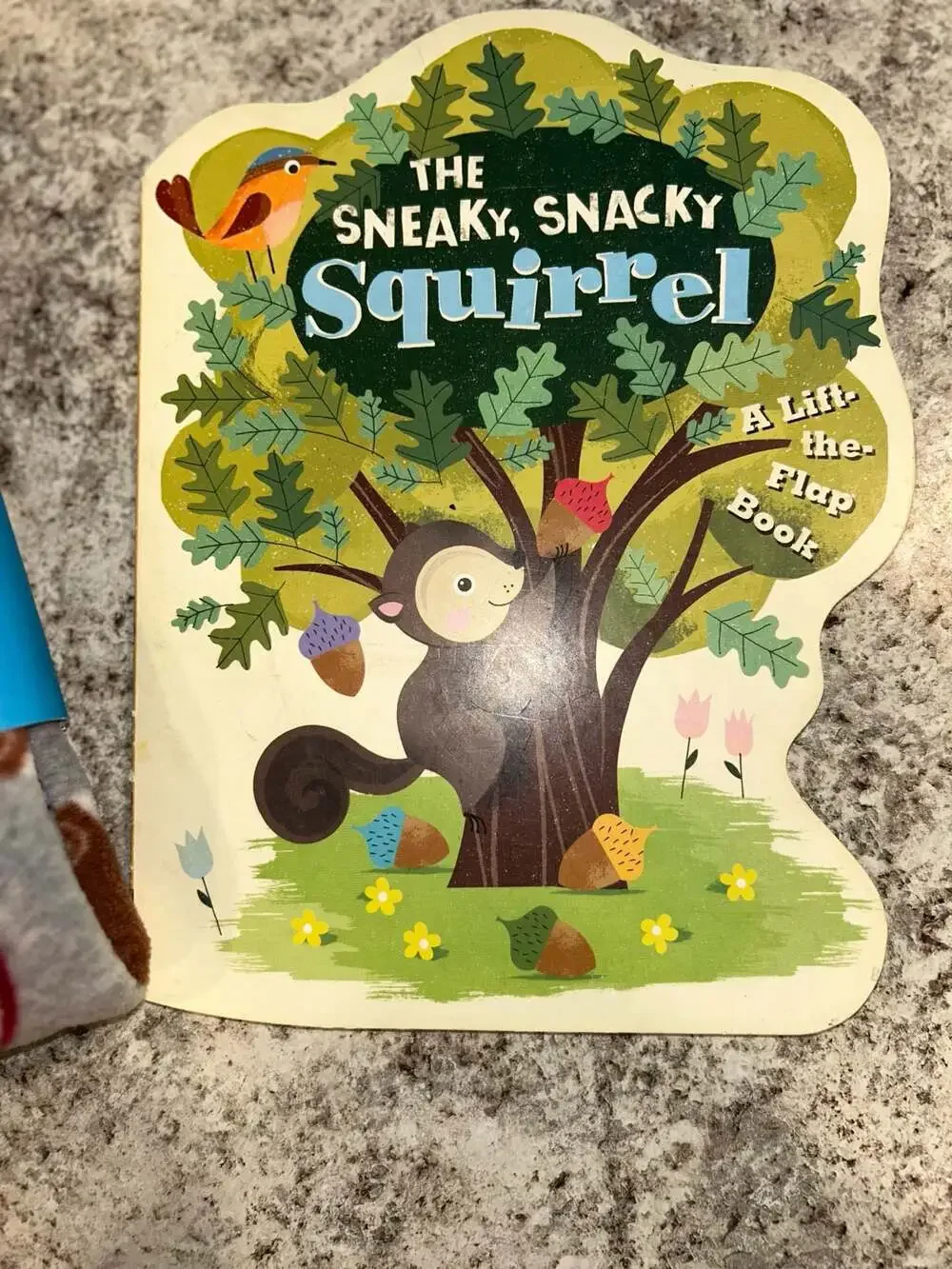 Carter's Boys 5T Football Print Fleece Footie Pajama and The Sneaky book